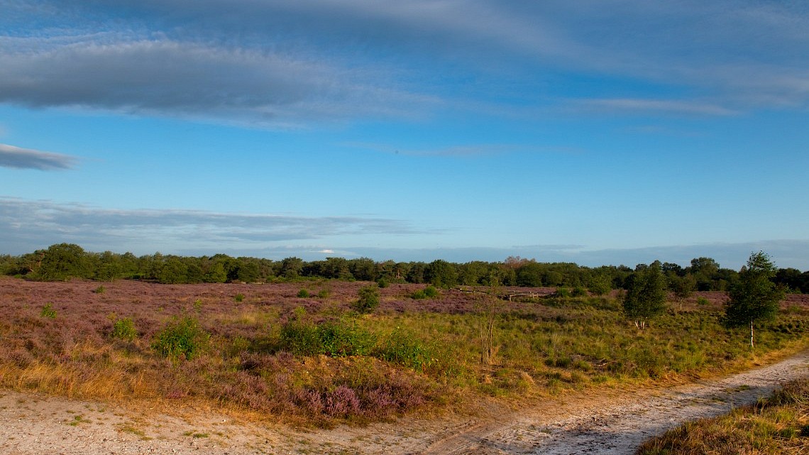 Fietsenroute Engbertsdijksvenen