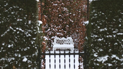 Winters stilleven bij Huys Beukenroode