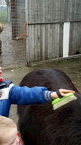 Helpen op de boerderij (geüpload door Marianne Steenbergen)