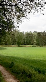 Rondom uitspanning &amp;amp;#039;t Peeske in het Bergherbos