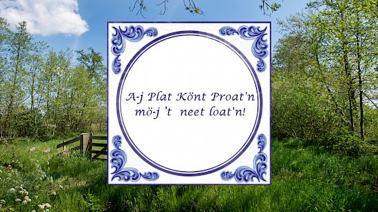 Plat proaten